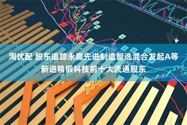 淘优配 股东追踪永赢先进制造智选混合发起A等新进精锻科技前十大流通股东