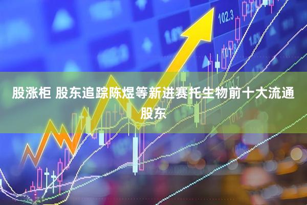 股涨柜 股东追踪陈煜等新进赛托生物前十大流通股东