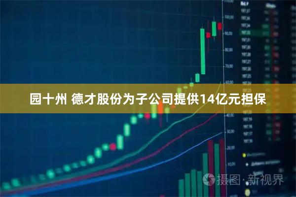 园十州 德才股份为子公司提供14亿元担保