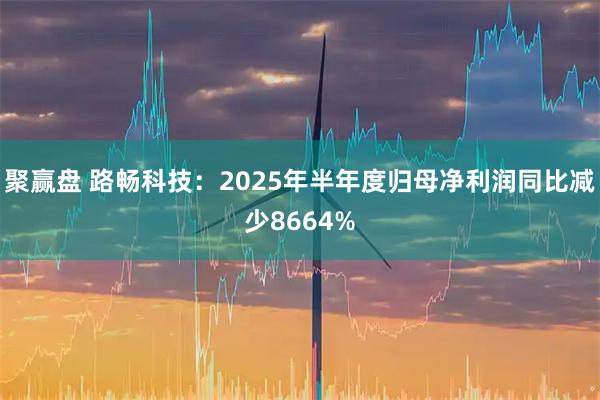 聚赢盘 路畅科技：2025年半年度归母净利润同比减少8664%