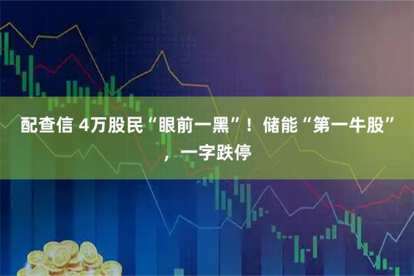 配查信 4万股民“眼前一黑”！储能“第一牛股”，一字跌停
