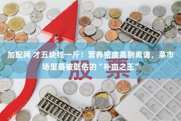 加配网 才五块钱一斤！营养密度高到离谱，菜市场里最被低估的“补血之王”