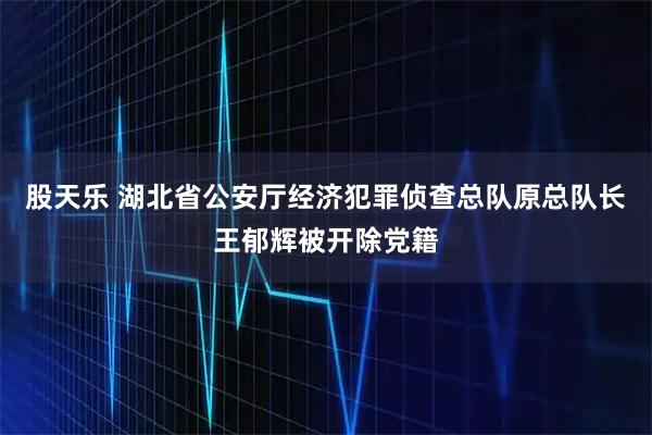 股天乐 湖北省公安厅经济犯罪侦查总队原总队长王郁辉被开除党籍