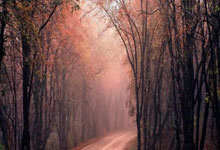 股票杠杆是多少倍:股票开户多久可以买创业板-2.3万亿！时隔十年 A股两融余额创历史新高